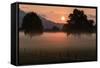 Sunrise in the Lauteracher Reeds-Jurgen Ulmer-Framed Stretched Canvas