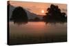 Sunrise in the Lauteracher Reeds-Jurgen Ulmer-Stretched Canvas