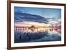 Sunrise in the Morning-dosecreative-Framed Photographic Print