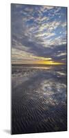 Sunrise in the Mudflat, Close to List (Municipality), Sylt (Island), Schleswig-Holstein, Germany-Rainer Mirau-Mounted Photographic Print