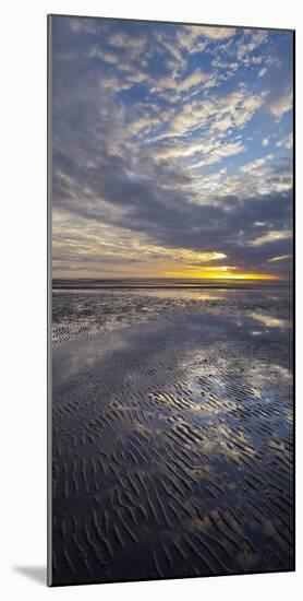 Sunrise in the Mudflat, Close to List (Municipality), Sylt (Island), Schleswig-Holstein, Germany-Rainer Mirau-Mounted Photographic Print