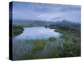 Sunrise in the Nature Reserve Siebenmšser, KitzbŸhel Alps, Moor, Hochkrimml, Gerlosplatte-Rainer Mirau-Stretched Canvas