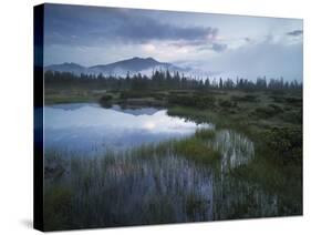 Sunrise in the Nature Reserve Siebenmšser, KitzbŸhel Alps, Moor, Hochkrimml, Gerlosplatte-Rainer Mirau-Stretched Canvas