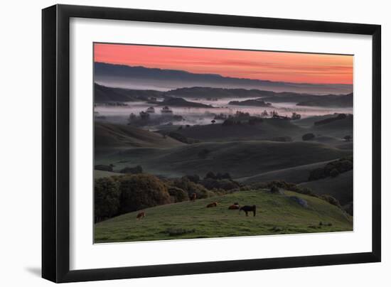 Sunrise in the Petaluma Hills, Northern California-null-Framed Photographic Print