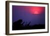 Sunrise in Uganda-Nicolás Merino-Framed Photographic Print