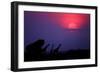 Sunrise in Uganda-Nicolás Merino-Framed Photographic Print