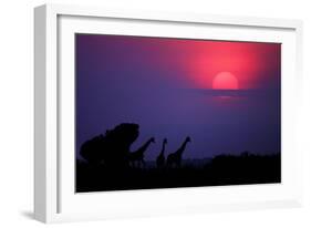 Sunrise in Uganda-Nicolás Merino-Framed Photographic Print