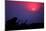 Sunrise in Uganda-Nicolás Merino-Mounted Photographic Print