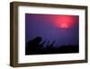 Sunrise in Uganda-Nicolás Merino-Framed Photographic Print