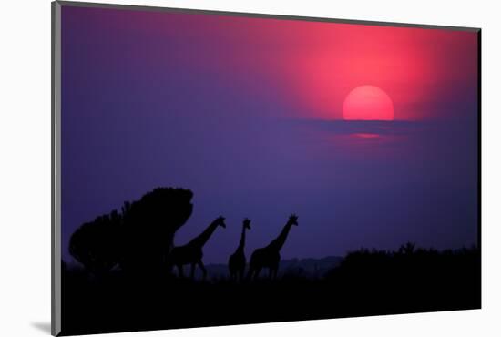 Sunrise in Uganda-Nicolás Merino-Mounted Photographic Print