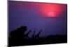 Sunrise in Uganda-Nicolás Merino-Mounted Photographic Print
