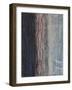 Sunrise in Winter I-Natalie Avondet-Framed Art Print