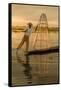 Sunrise. Intha Fisherman Rowing with His Legs. Inle Lake. Myanmar-Tom Norring-Framed Stretched Canvas