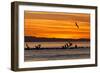 Sunrise, Isla Rasa, Gulf of California (Sea of Cortez), Baja California, Mexico, North America-Michael Nolan-Framed Photographic Print