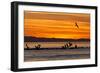 Sunrise, Isla Rasa, Gulf of California (Sea of Cortez), Baja California, Mexico, North America-Michael Nolan-Framed Photographic Print