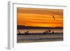 Sunrise, Isla Rasa, Gulf of California (Sea of Cortez), Baja California, Mexico, North America-Michael Nolan-Framed Photographic Print