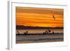 Sunrise, Isla Rasa, Gulf of California (Sea of Cortez), Baja California, Mexico, North America-Michael Nolan-Framed Photographic Print