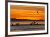 Sunrise, Isla Rasa, Gulf of California (Sea of Cortez), Baja California, Mexico, North America-Michael Nolan-Framed Photographic Print