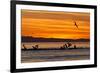 Sunrise, Isla Rasa, Gulf of California (Sea of Cortez), Baja California, Mexico, North America-Michael Nolan-Framed Photographic Print