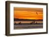 Sunrise, Isla Rasa, Gulf of California (Sea of Cortez), Baja California, Mexico, North America-Michael Nolan-Framed Premium Photographic Print