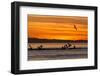 Sunrise, Isla Rasa, Gulf of California (Sea of Cortez), Baja California, Mexico, North America-Michael Nolan-Framed Premium Photographic Print