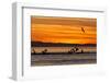 Sunrise, Isla Rasa, Gulf of California (Sea of Cortez), Baja California, Mexico, North America-Michael Nolan-Framed Premium Photographic Print