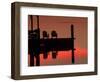 Sunrise, Isle of Hope, Savannah, Georgia, USA-Joanne Wells-Framed Photographic Print