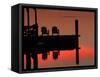 Sunrise, Isle of Hope, Savannah, Georgia, USA-Joanne Wells-Framed Stretched Canvas