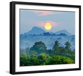 Sunrise Jungles of Sri Lanka-null-Framed Art Print