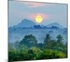 Sunrise Jungles of Sri Lanka-null-Mounted Art Print