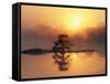 Sunrise, Kruger National Park, South Africa, Africa-Ann & Steve Toon-Framed Stretched Canvas