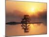 Sunrise, Kruger National Park, South Africa, Africa-Ann & Steve Toon-Mounted Photographic Print