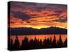 Sunrise, Lake Pukaki, Canterbury, South Island, New Zealand, Pacific-Jochen Schlenker-Stretched Canvas