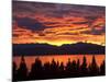 Sunrise, Lake Pukaki, Canterbury, South Island, New Zealand, Pacific-Jochen Schlenker-Mounted Photographic Print