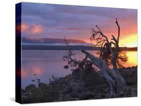 Sunrise, Lake St. Clair, Cradle Mountain Lake St. Clair National Park, Tasmania, Australia-Jochen Schlenker-Stretched Canvas