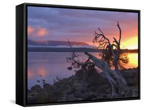 Sunrise, Lake St. Clair, Cradle Mountain Lake St. Clair National Park, Tasmania, Australia-Jochen Schlenker-Framed Stretched Canvas