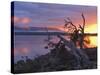 Sunrise, Lake St. Clair, Cradle Mountain Lake St. Clair National Park, Tasmania, Australia-Jochen Schlenker-Stretched Canvas