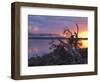 Sunrise, Lake St. Clair, Cradle Mountain Lake St. Clair National Park, Tasmania, Australia-Jochen Schlenker-Framed Photographic Print