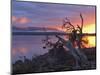 Sunrise, Lake St. Clair, Cradle Mountain Lake St. Clair National Park, Tasmania, Australia-Jochen Schlenker-Mounted Photographic Print