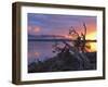 Sunrise, Lake St. Clair, Cradle Mountain Lake St. Clair National Park, Tasmania, Australia-Jochen Schlenker-Framed Photographic Print