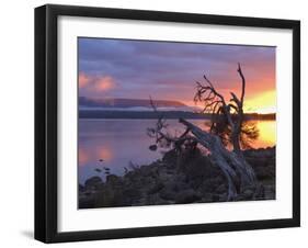 Sunrise, Lake St. Clair, Cradle Mountain Lake St. Clair National Park, Tasmania, Australia-Jochen Schlenker-Framed Photographic Print