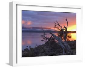 Sunrise, Lake St. Clair, Cradle Mountain Lake St. Clair National Park, Tasmania, Australia-Jochen Schlenker-Framed Photographic Print