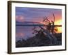 Sunrise, Lake St. Clair, Cradle Mountain Lake St. Clair National Park, Tasmania, Australia-Jochen Schlenker-Framed Photographic Print