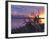 Sunrise, Lake St. Clair, Cradle Mountain Lake St. Clair National Park, Tasmania, Australia-Jochen Schlenker-Framed Photographic Print