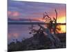 Sunrise, Lake St. Clair, Cradle Mountain Lake St. Clair National Park, Tasmania, Australia-Jochen Schlenker-Mounted Photographic Print