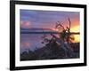 Sunrise, Lake St. Clair, Cradle Mountain Lake St. Clair National Park, Tasmania, Australia-Jochen Schlenker-Framed Photographic Print