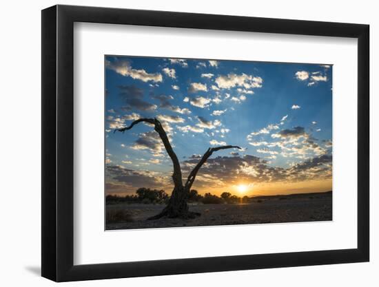 Sunrise Landscape in Sossusvlei, Namibia, July 2014-Wim van den Heever-Framed Photographic Print