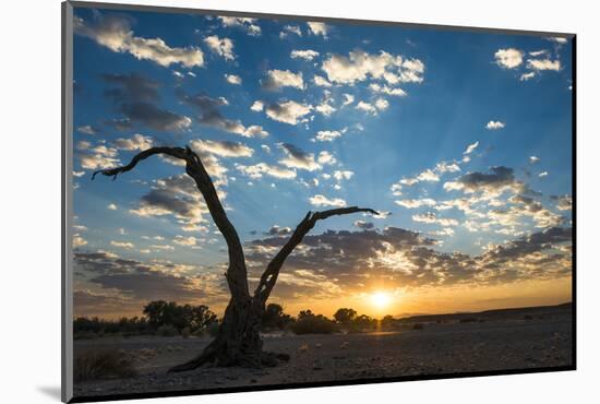 Sunrise Landscape in Sossusvlei, Namibia, July 2014-Wim van den Heever-Mounted Photographic Print