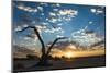 Sunrise Landscape in Sossusvlei, Namibia, July 2014-Wim van den Heever-Mounted Photographic Print