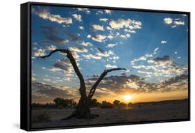 Sunrise Landscape in Sossusvlei, Namibia, July 2014-Wim van den Heever-Framed Stretched Canvas